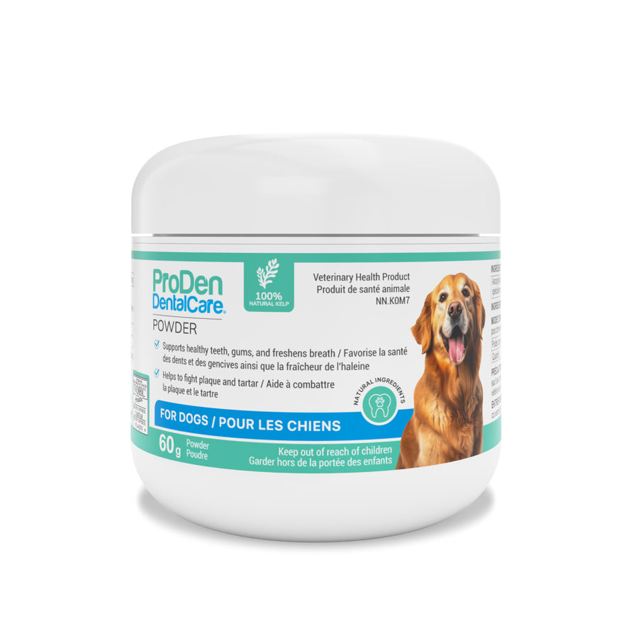 ProDen DentalCare powder for dogs Original 60 g