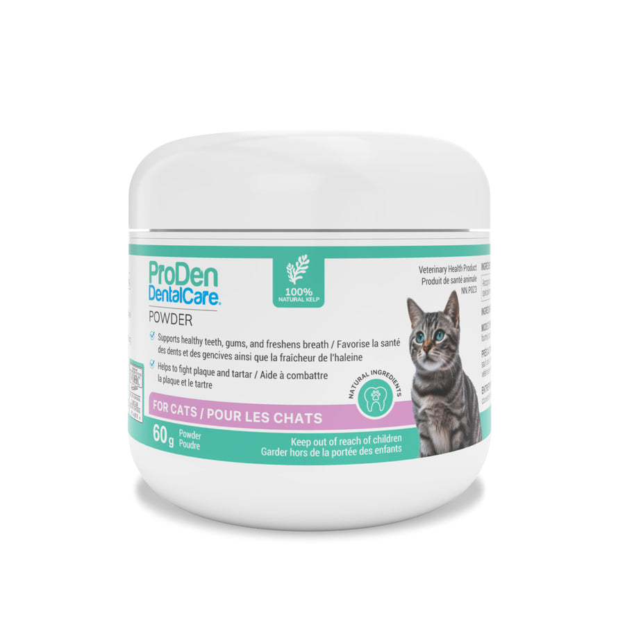 ProDen DentalCare powder for cats Original 60 g