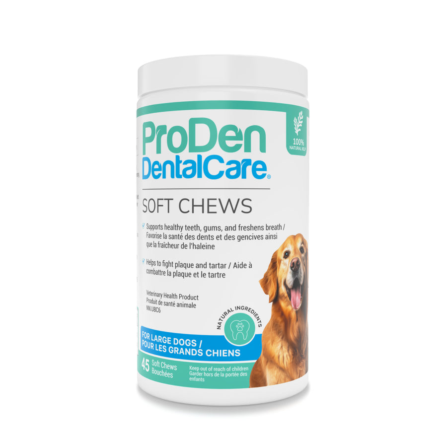 ProDen DentalCare soft chews for large dogs Natural flavouring 45 Chews