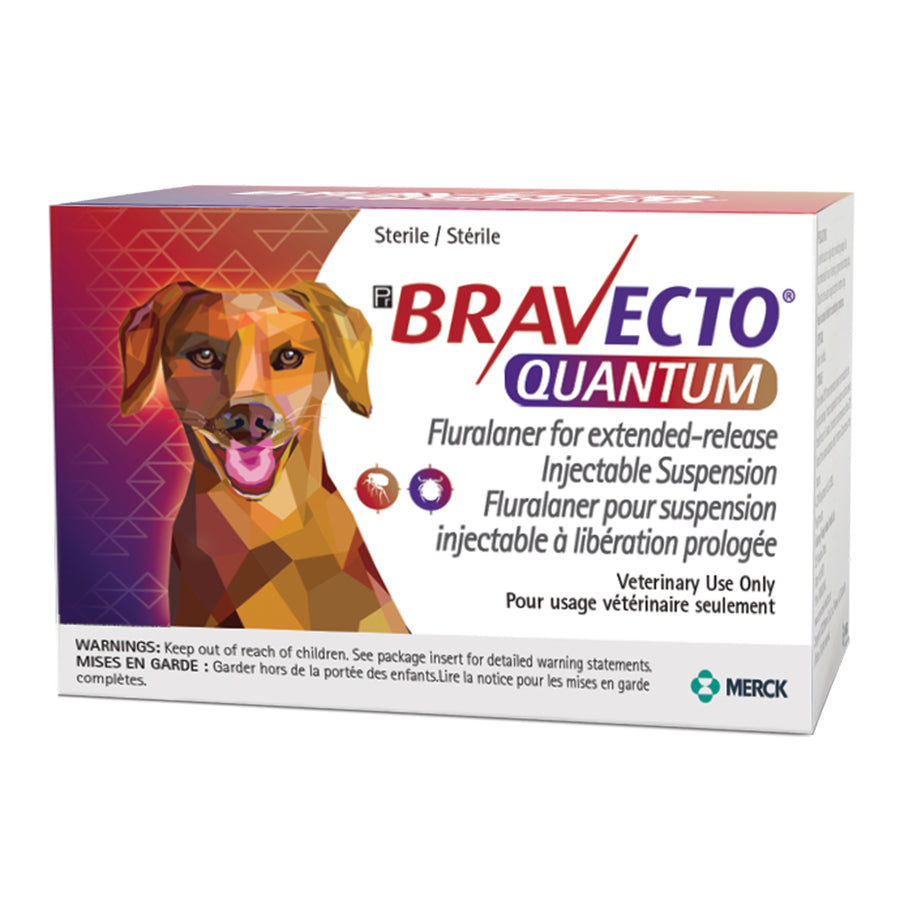 Bravecto Quantum injection (to reconstitute) for dogs 150 mg/ml 1 kit