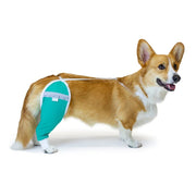 Protective sleeve for hip and thigh