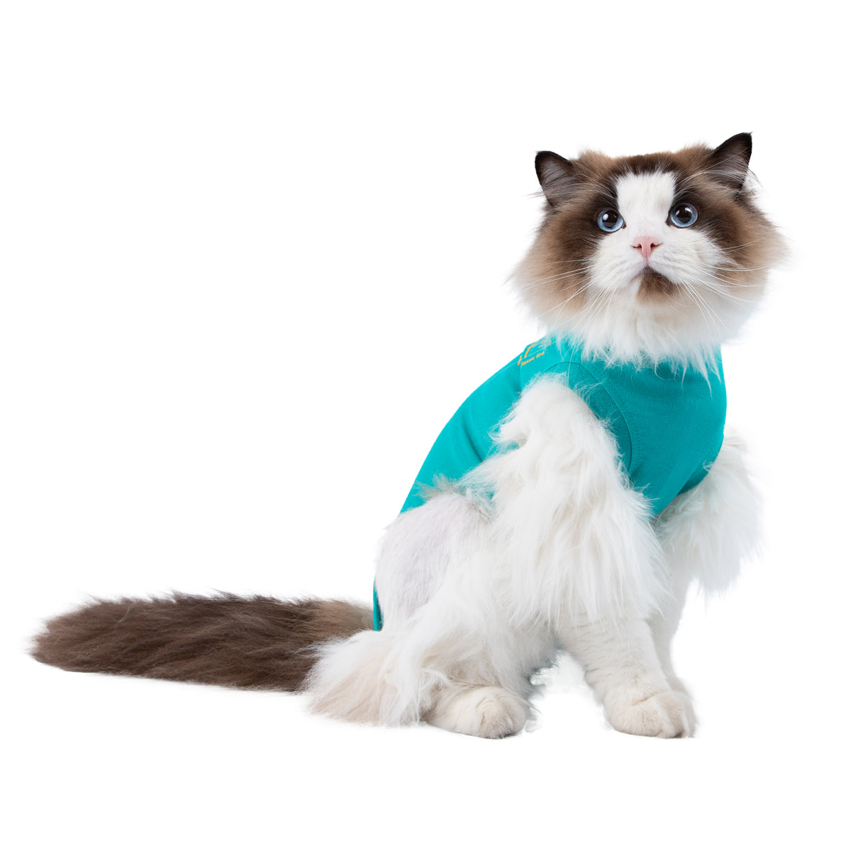 Recovery suit Classic for cats