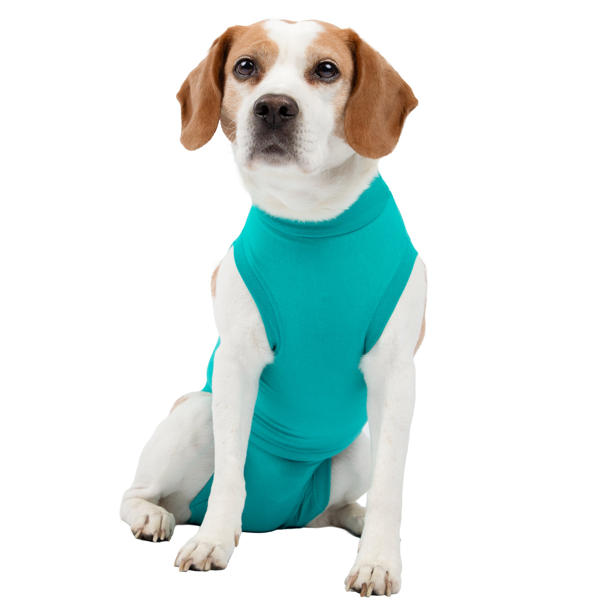 Recovery suit Classic for dogs