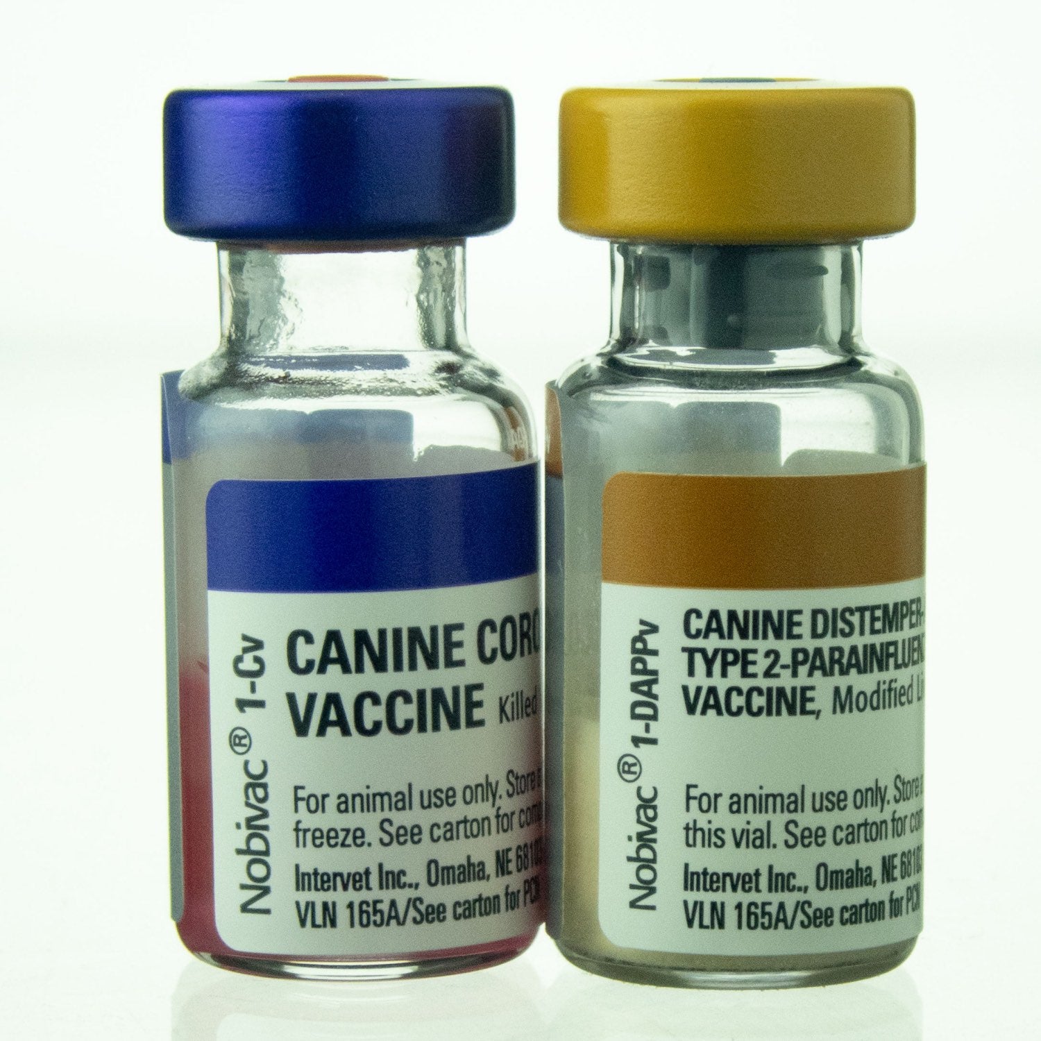 Nobivac Canine 1-DAPPv + 1-Cv 1 ml/Dose 25 x 1 ml