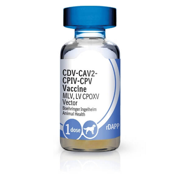 Recombitek C4 1 ml/Dose 25 x 1 ml