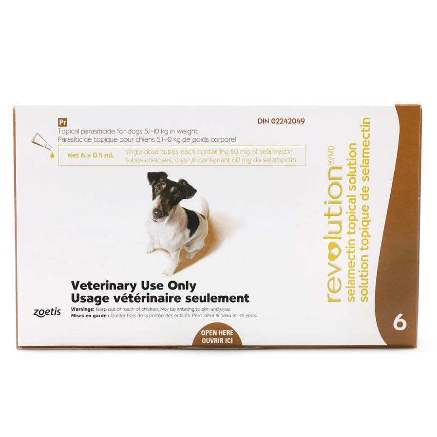 Revolution for Dog Brown/Brun 5.1 - 10 kg 6 Tubes