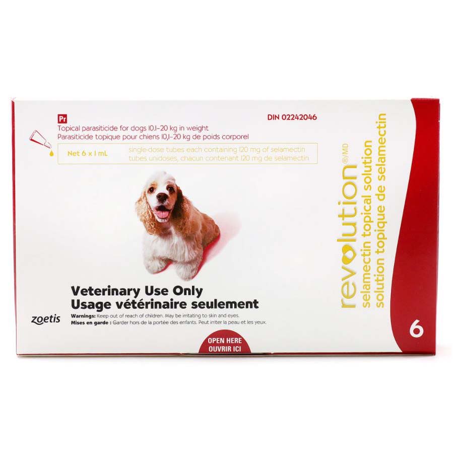Revolution for Dog Red/Rouge 10.1 - 20 kg 6 Tubes