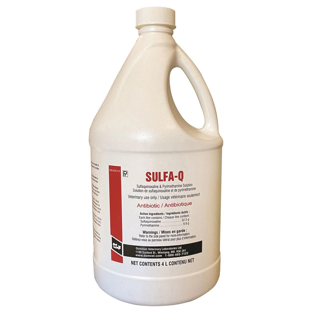 Sulfa-Q sulfaquinolaxine 19.2 % W/V 4 L