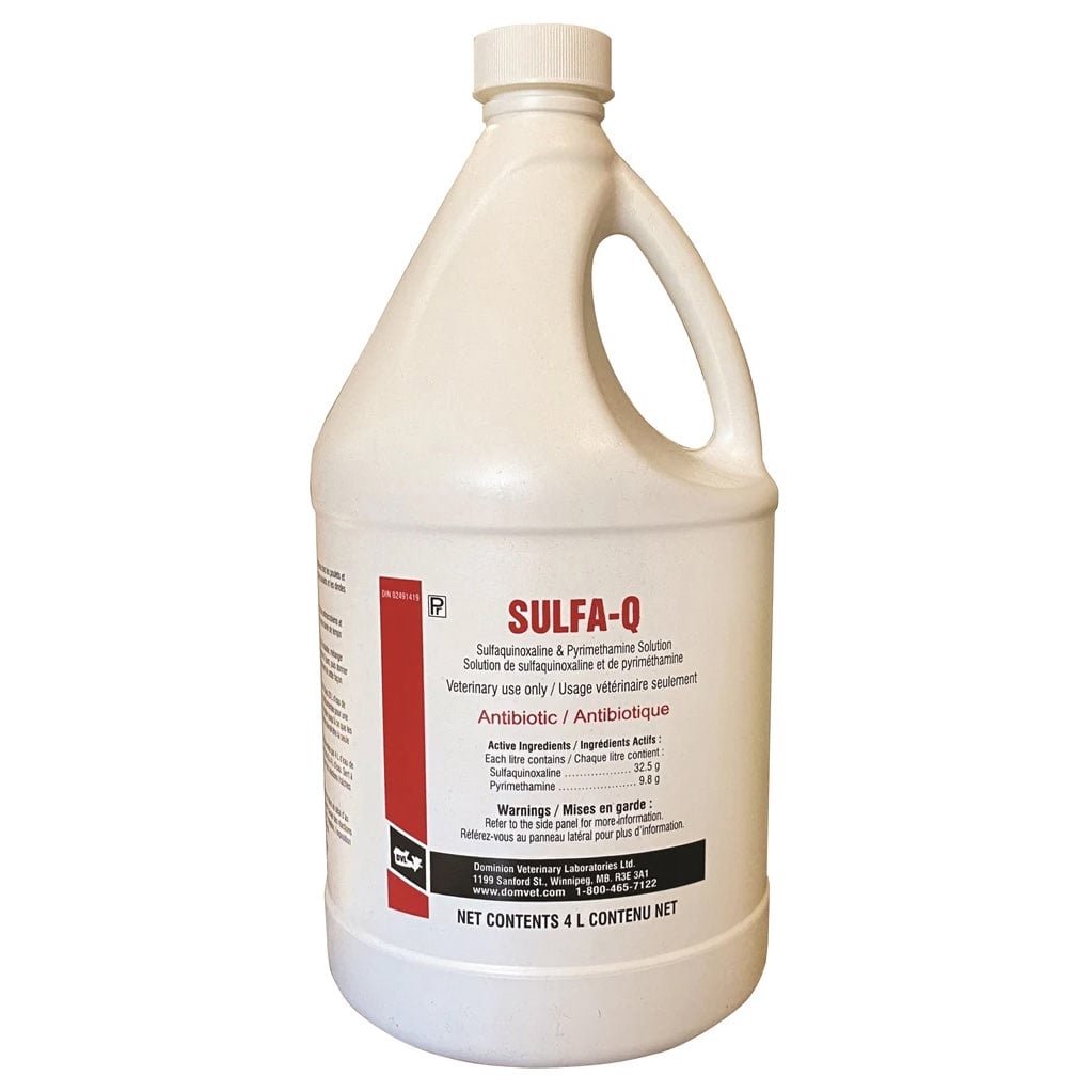 Sulfa-Q sulfaquinolaxine 19.2 % W/V 4 L