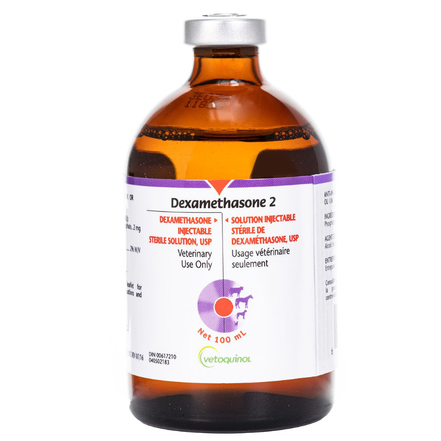Dexamethasone injection 2 mg/ml 100 ml