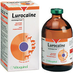 Lurocaine 20 mg/ml 100 ml