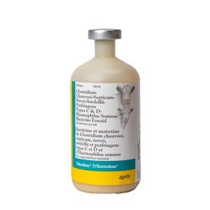 Ultrabac 7/Somubac 5 ml/Dose 250 ml