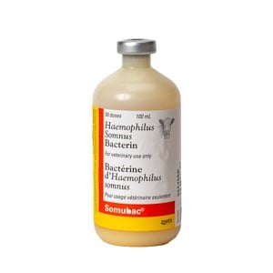 Somubac 2 ml/Dose 100 ml