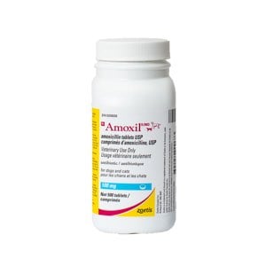 Amoxil 100 mg 500 Tab
