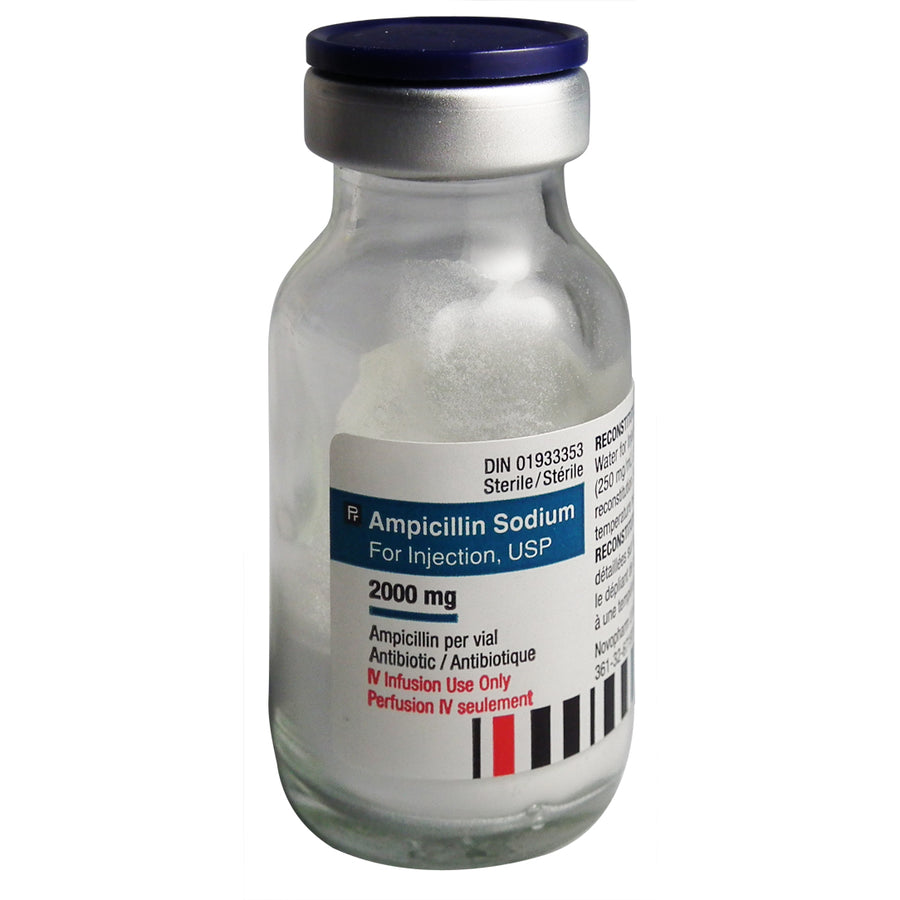 Ampicillin Sodium 250 mg/ml 2000 mg