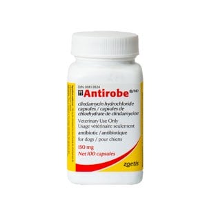 Antirobe 150 mg 100 Cap