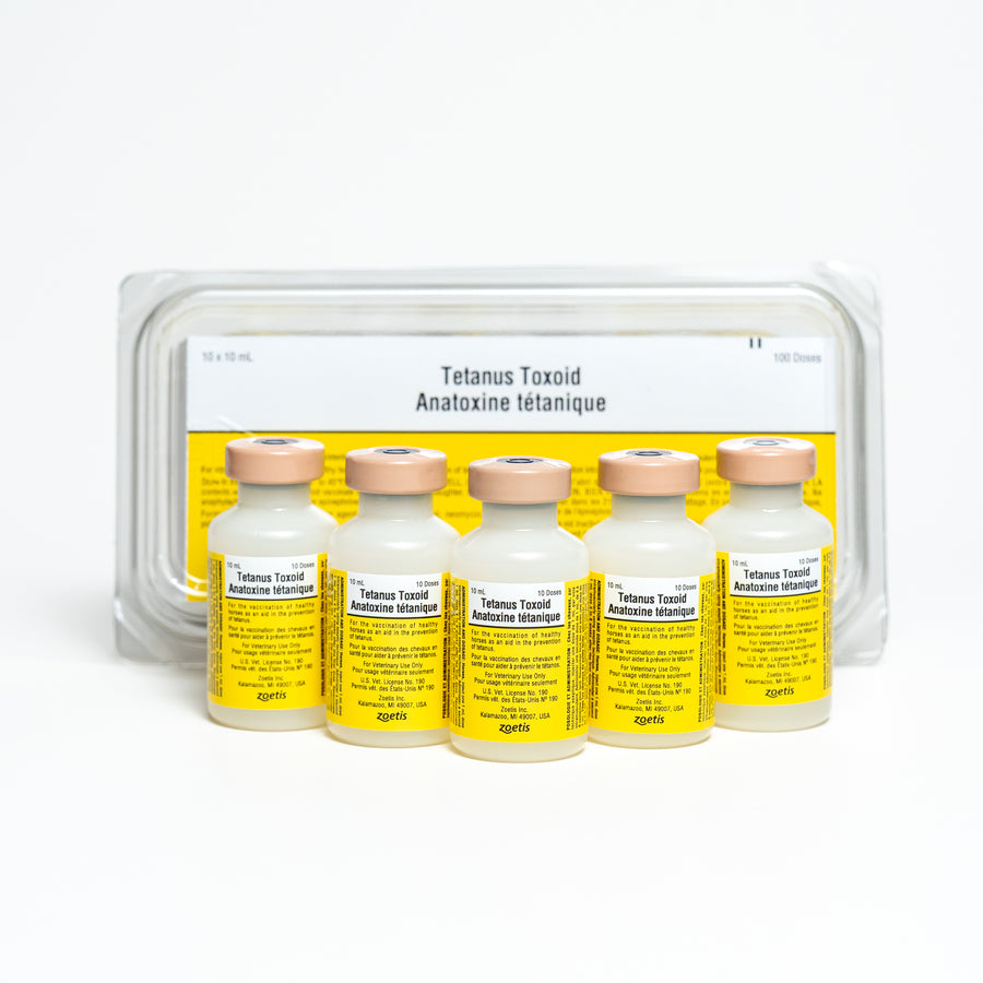 Tetanus Toxoid